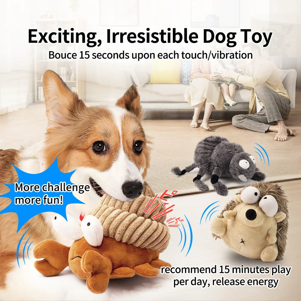 Interactive Dog Toy Plush Dog Toy  & Dancing Dog Toy Ball Dog Toy