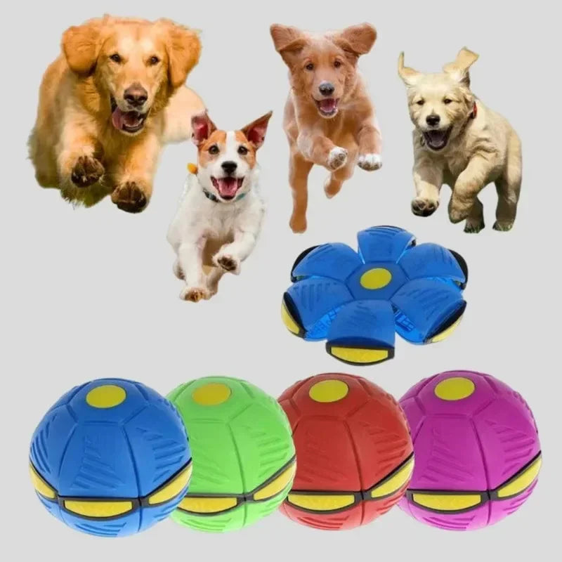 Magic Flying Saucer Dog Ball