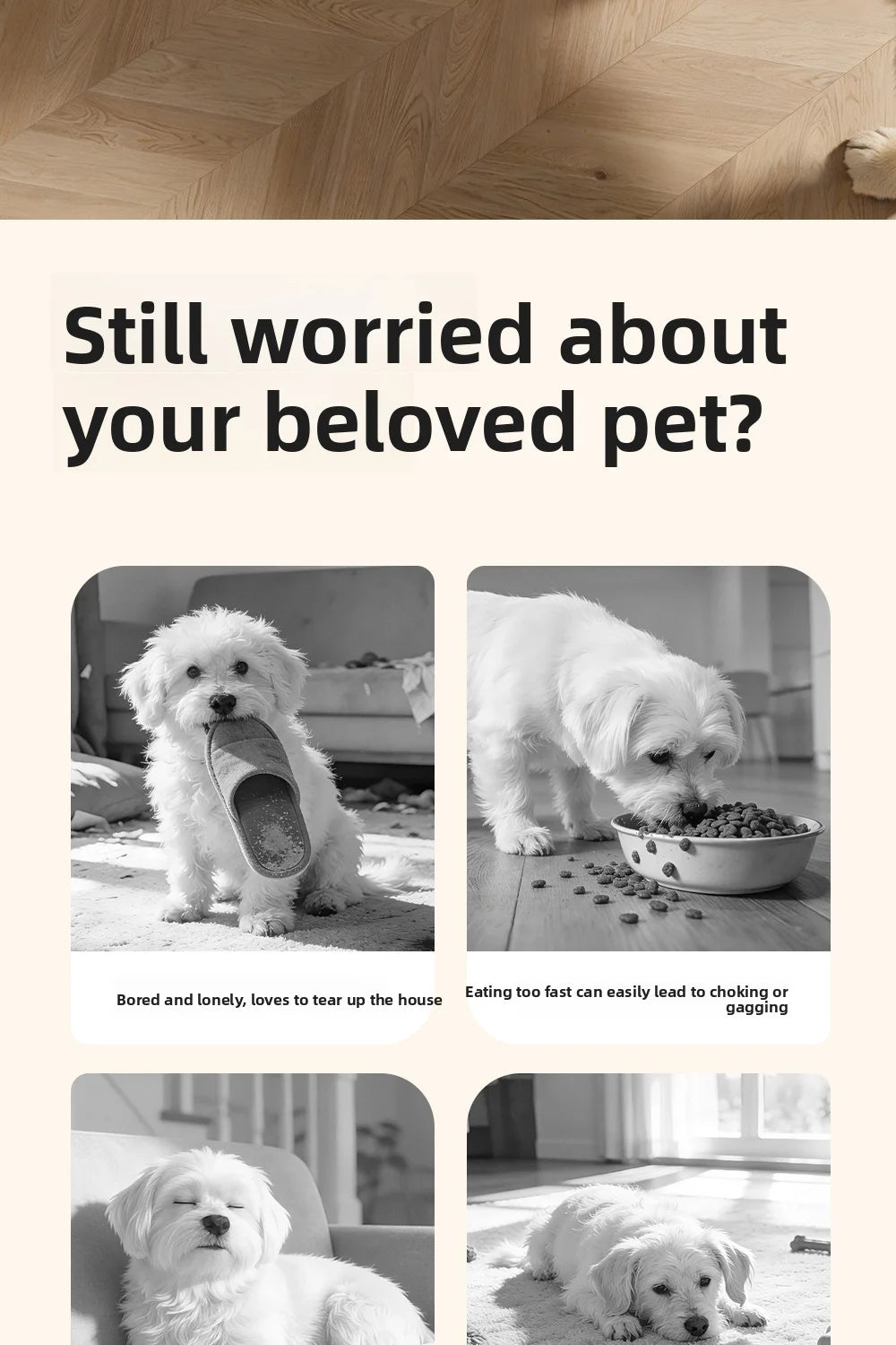 Dog Brain Training Toy & Food Dispenser: Interactive puzzle