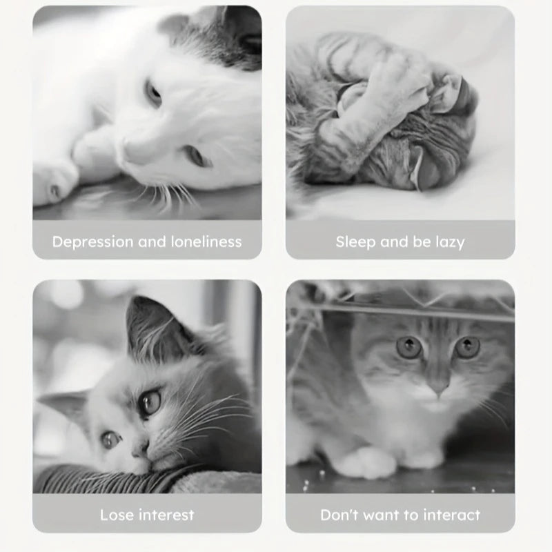 Interactive Cat & Dog Toy - Durable Bite-Resistant Design, Hiding Food & Grinding Teeth