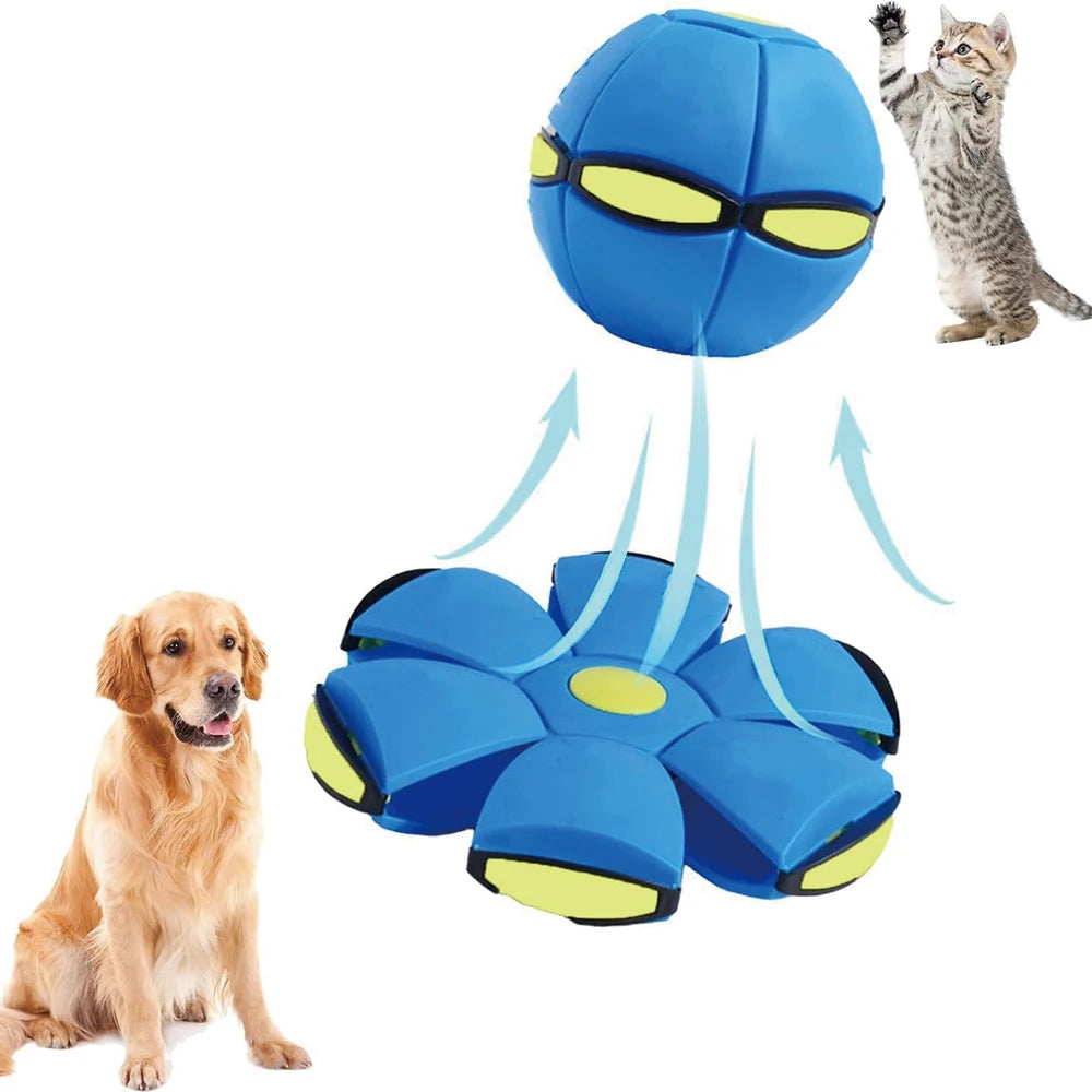 Magic Flying Saucer Dog Ball