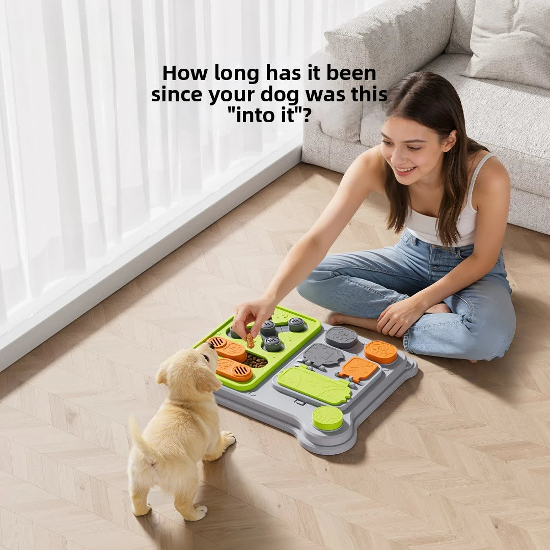 Dog Brain Training Toy & Food Dispenser: Interactive puzzle