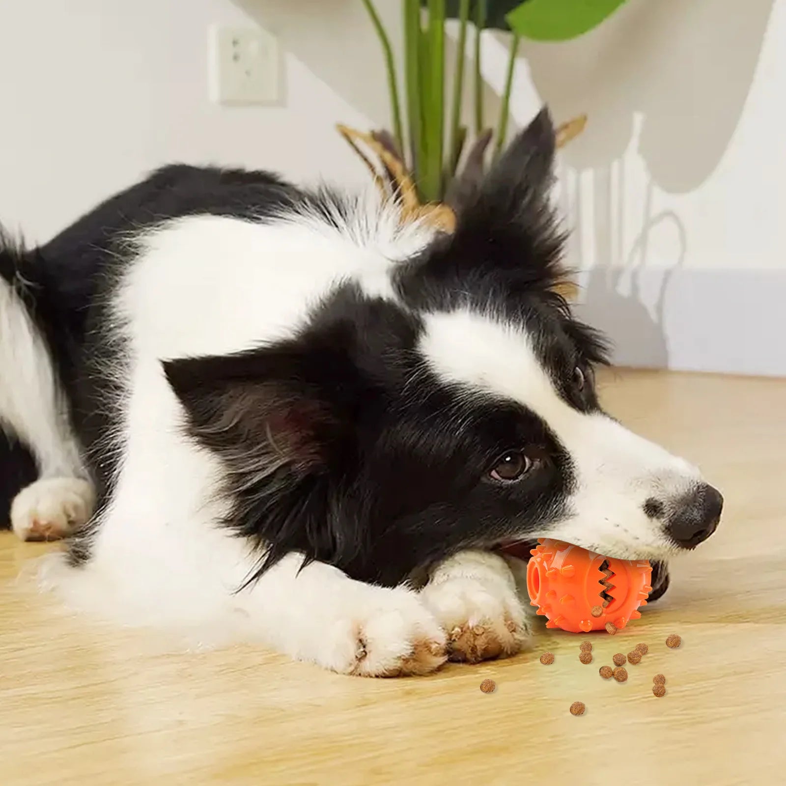 Dog Interactive Chew Treat Dispensing Ball